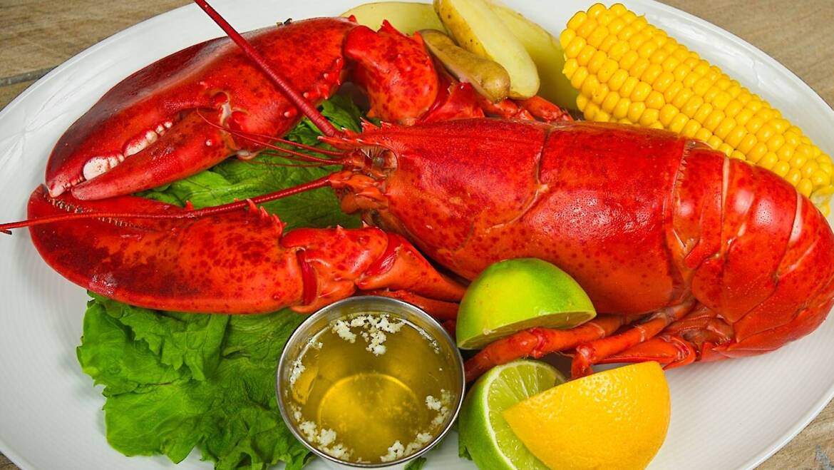 Whole Lobster 1-3/4 lbs.