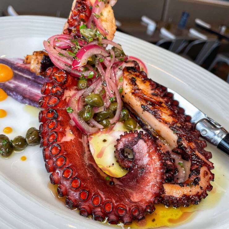 Grilled Octopus